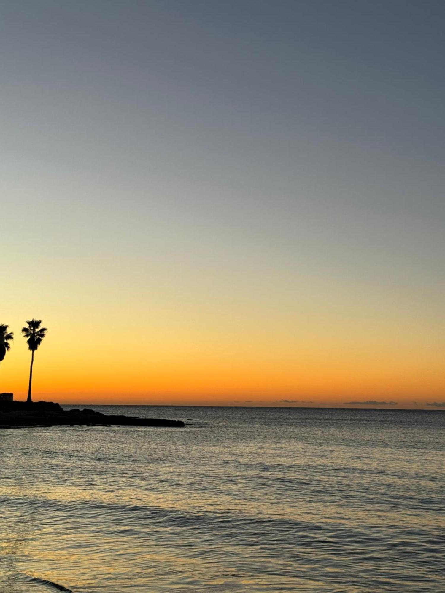 Beach Apartament In Torrevieja Eksteriør bilde